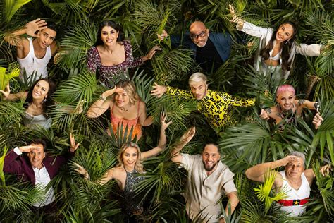 Aktuelle Trends Ibes