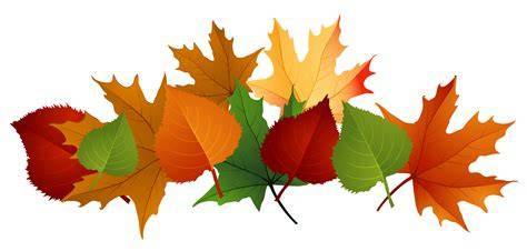 Autumn Leaves