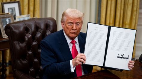Donald Trump Überblick
