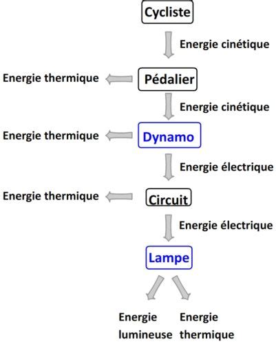 Energie Dynamo Sport