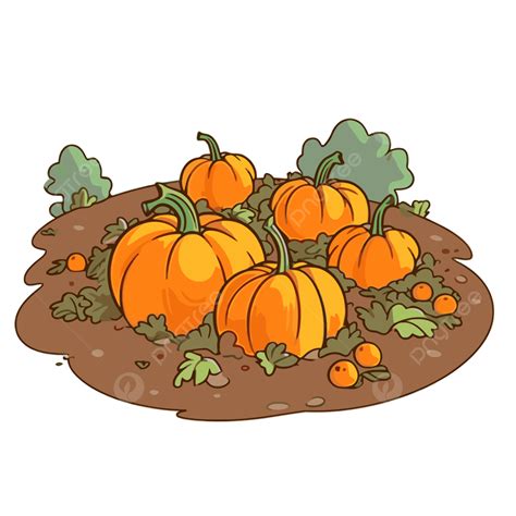 Pumpkin Patch