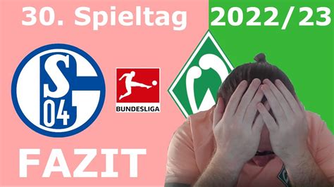 Schalke-FCN-Fazit