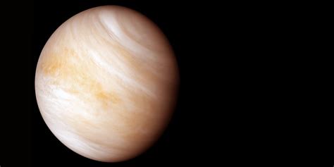Venus