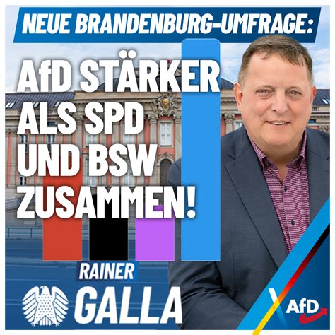 AfD Umfragen Einspruch