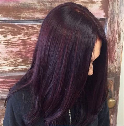 Rich Plum Hair Color